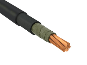 ВВГнг(А)-FRLS 1х25,0 мк-1 черный